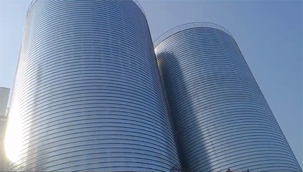 龙井2座混凝土高架卷板仓